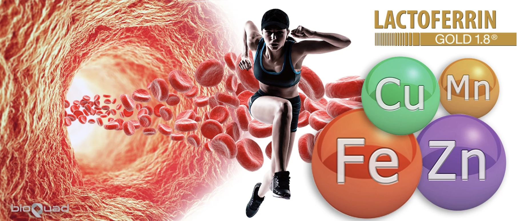 Lactoferrin Lactoferrin